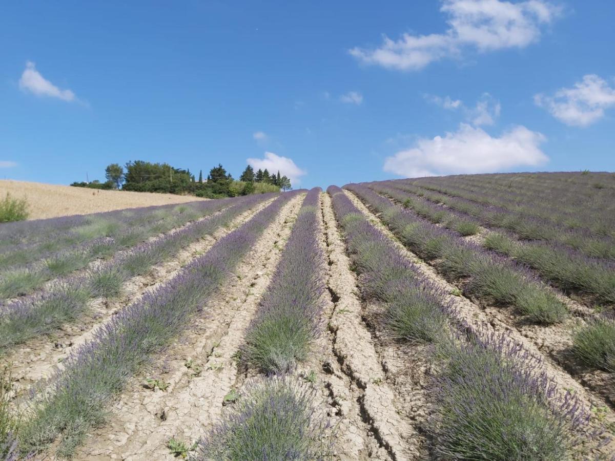 Agriturismo Mandriato Santa Luce Εξωτερικό φωτογραφία