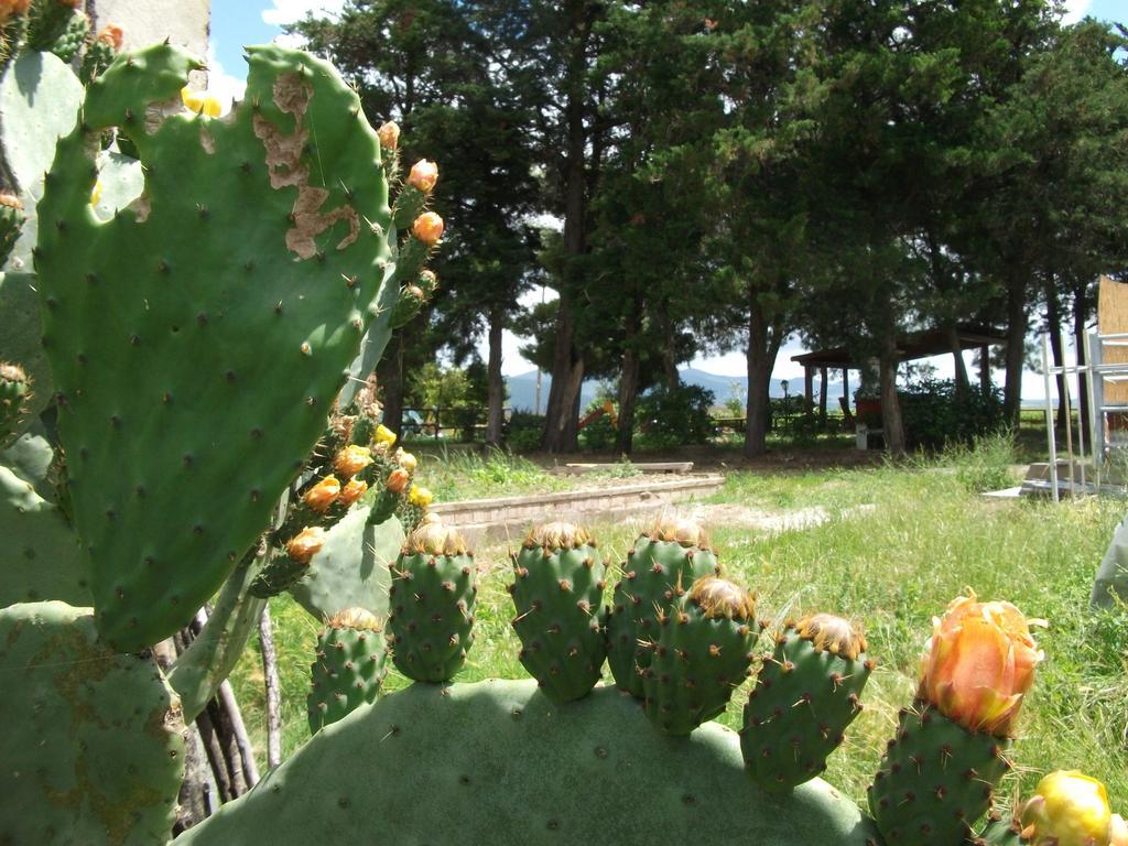 Agriturismo Mandriato Santa Luce Εξωτερικό φωτογραφία