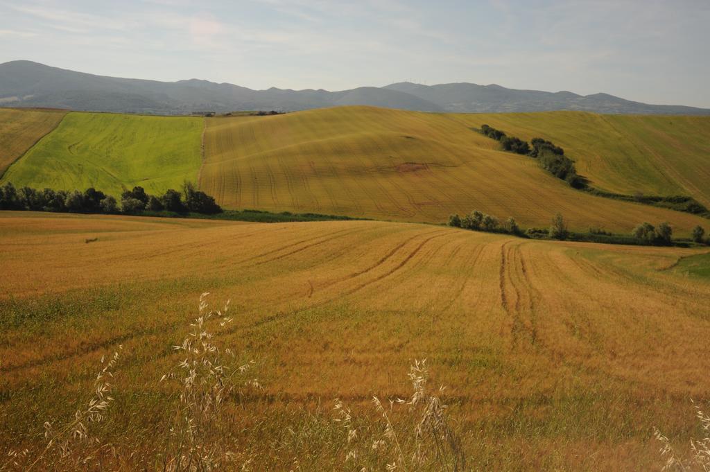 Agriturismo Mandriato Santa Luce Εξωτερικό φωτογραφία